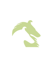 Seawind Spirit